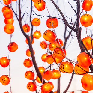 2026春节新年装饰柿子灯串过年氛围灯led小彩灯闪灯饰灯笼喜庆灯