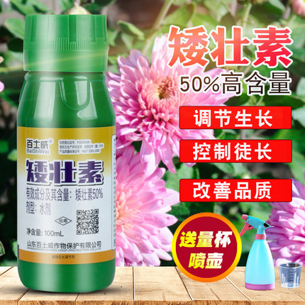 矮壮剂植物矮壮素菊花花木水仙花百合花卉多肉月季果树蔬菜矮胖素