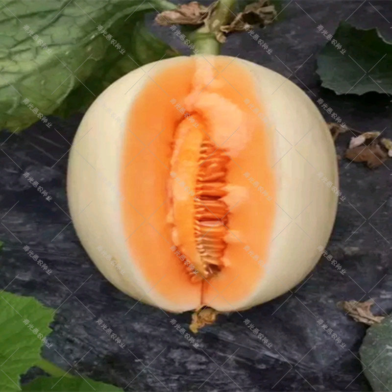 网友分享在meiguo.com的图片