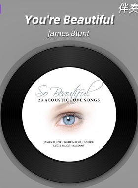 《You're Beautiful》James Blunt原版伴奏音乐无人声