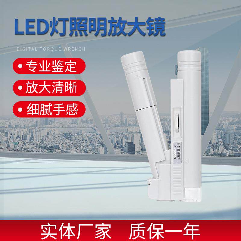 40倍双筒带刻度放大镜LED灯教学印刷纺织邮票字画古玩鉴定显微镜