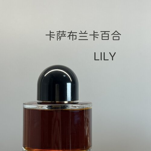 【正经大红花】夜幕Lily卡萨布兰卡百合暗夜女王马鞍匠正品小样