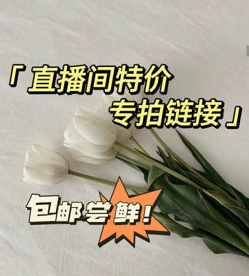 【正经大红花】《氛围》试香合集推荐 直播间特价福利专拍 限粉丝