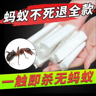 柏松蚂蚁药神奇杀虫粉笔灭蟑螂家用室内跳蚤杀虫剂画笔厨房头虱xf