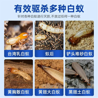 白蚁防治专用药水室内诱杀白蚁家用全窝端非无毒白蚂蚁杀虫粉剂xf