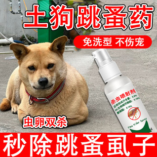 土狗跳蚤药中华田园犬专用驱虫药猫咪除跳瘙虱子蜱虫体外喷雾xf