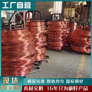 铜包钢圆线直径12镀铜圆钢直径10铜覆钢圆线防雷水平接地线引下线