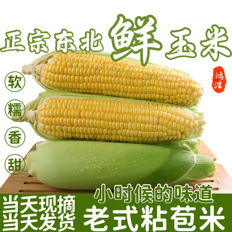 新鲜黄糯粘苞米东北糯玉米