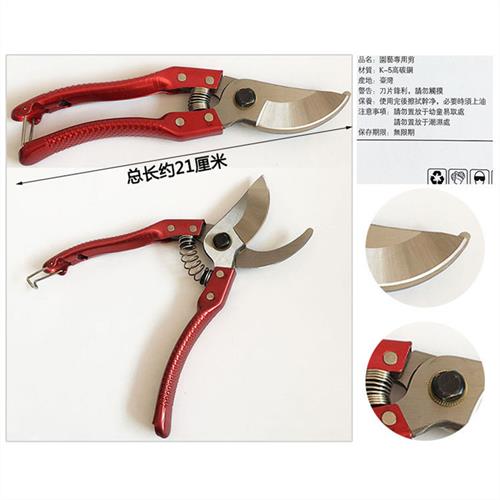 园艺用具 修剪花木 果树 花卉 修枝剪刀 园艺工具 花剪图片