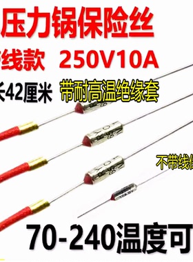 多功能烤盘电火锅煎烤机取暖器暖气金属温度保险丝管带线250V 10A