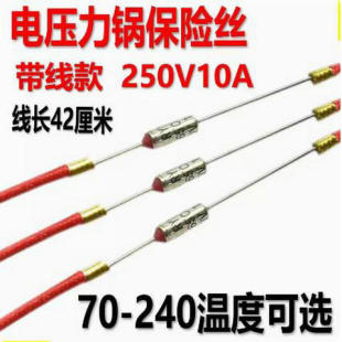 通用型电压力锅电饭煲挂烫机温度保险丝超温保护10A带线保险管