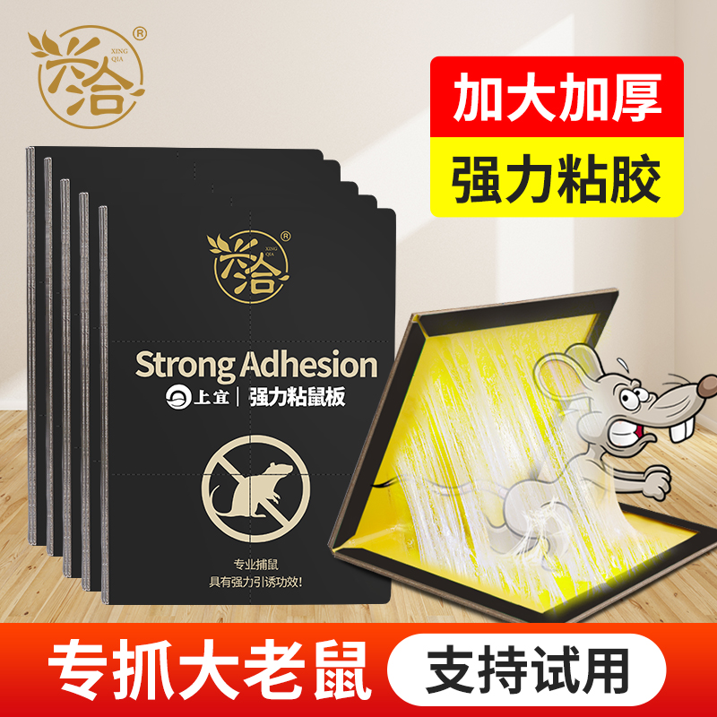 【支持试用！】老鼠贴强力粘鼠板