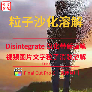 fcpx插件Disintegrate粒子沙化溶解图片视频转场文字飞散FCPX特效