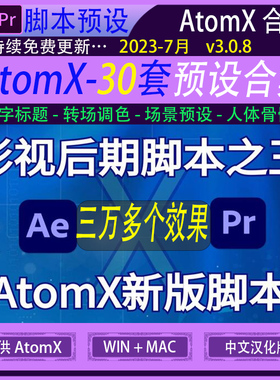 PR转场标题文字MG动画场景预设婚礼模板 30套AE/PR脚本预设 AtomX