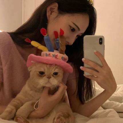 宠物猫咪派对装饰帽子装扮拍照道具狗狗头饰玩具生日蜡烛字母头箍