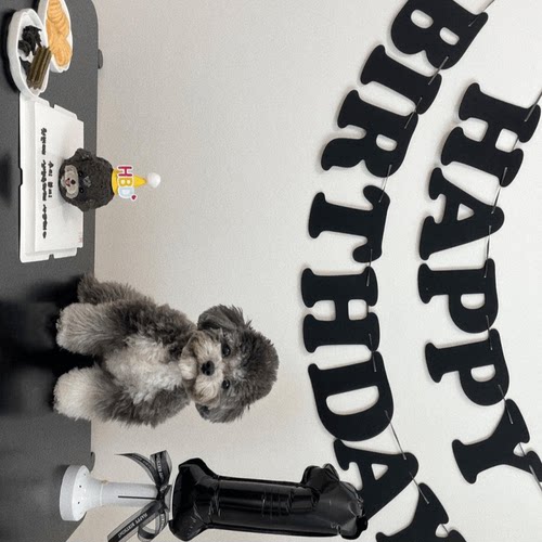 HAPPYBIRTHDAY黑色字母拉旗