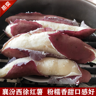 襄汾老济南红薯白心板栗地瓜番薯山西临汾特产包邮食用软糯西徐