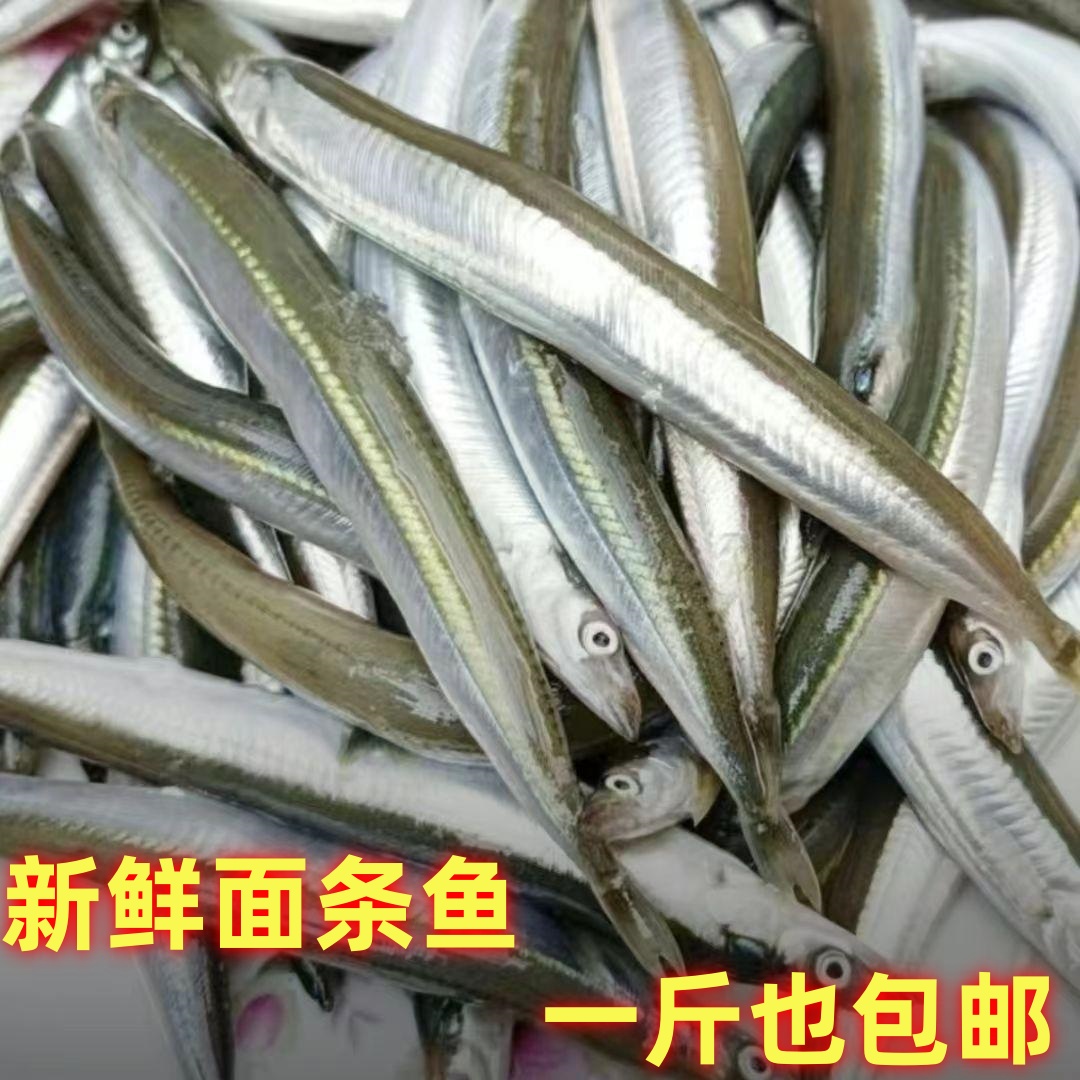 新鲜野生海捕油炸顺丰包邮小青鱼