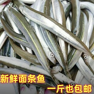 新鲜小青鱼面条鱼玉筋鱼野生海捕小银鱼冷冻水产香煎油炸顺丰包邮