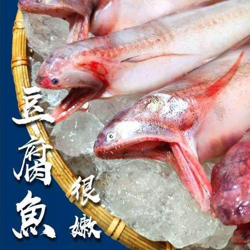 新鲜速冻海兔鲜活冷冻小鱿鱼