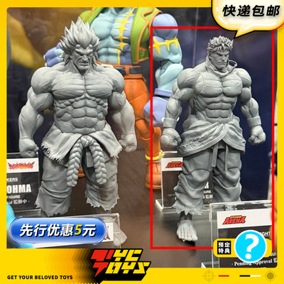 【TYCTOYS】定金预售 STORM TOYS ST ARENA街头霸王5影1/12可动