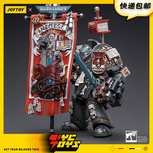 【TYCTOYS】定金预售 JOYTOY暗源灰骑士终结者瑞迪斯阿坎塔JT3198