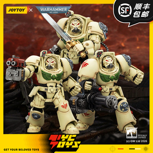 【TYCTOYS】定金预售 JOYTOY暗源黑暗天使终结者1/18可动JT03127