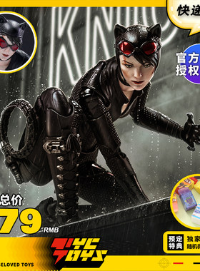 【TYCTOYS】定金预售UPF良品制造圆野文化DC蝙蝠侠阿卡姆骑士猫女