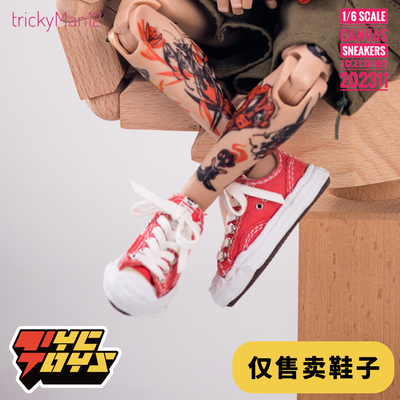 配件西瓜红帆布溶解鞋1/6