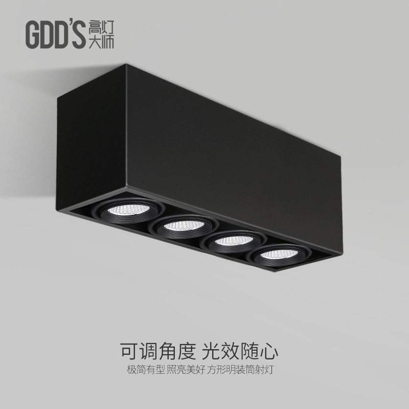 GDDS长条形斗胆灯四头筒灯格栅灯射灯头cob4多头客厅餐厅智能图片