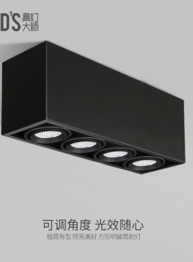 GDDS长条形斗胆灯四头筒灯格栅灯射灯头cob4多头客厅餐厅智能