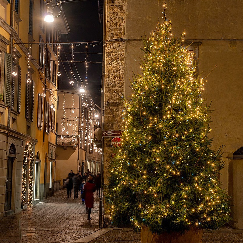 插电圣诞树绿线灯串礼品盒铜丝星星彩灯绿植圣诞藤条庭院装饰灯串