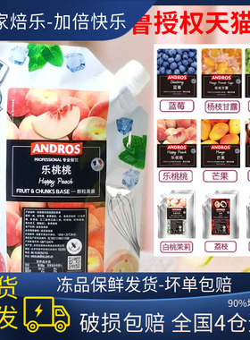安德鲁果酱 果溶烘焙奶茶店专用蓝莓颗粒草莓酱水蜜桃百香果泥1kg