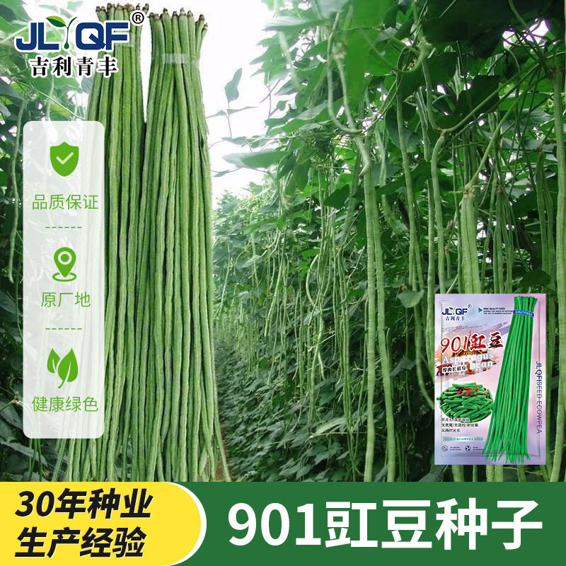 特长901豇豆种子需搭架豆角种籽高产老品种豆角种孑豆荚蔬菜种子,农用物资,蔬菜种子/种苗,淘宝优惠券,粉丝福利购,淘宝优惠卷