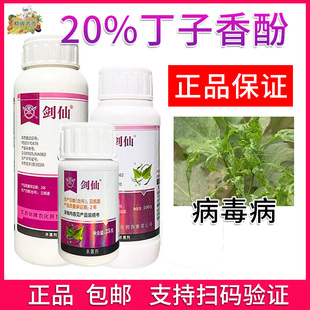 剑牌剑仙 20%丁子香酚农药杀菌剂 病毒病农药杀菌剂农用杀菌剂