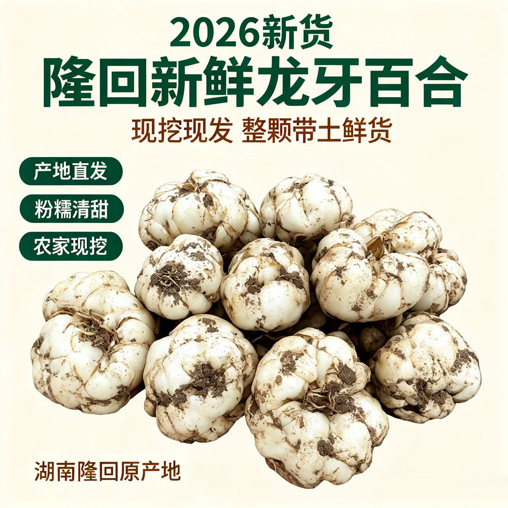 隆回龙牙鲜百合现挖现发