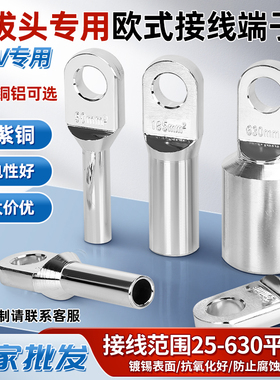 欧式铜端子OTD紫铜接线铜鼻子OTDL拔插头分支箱电缆接头120平方