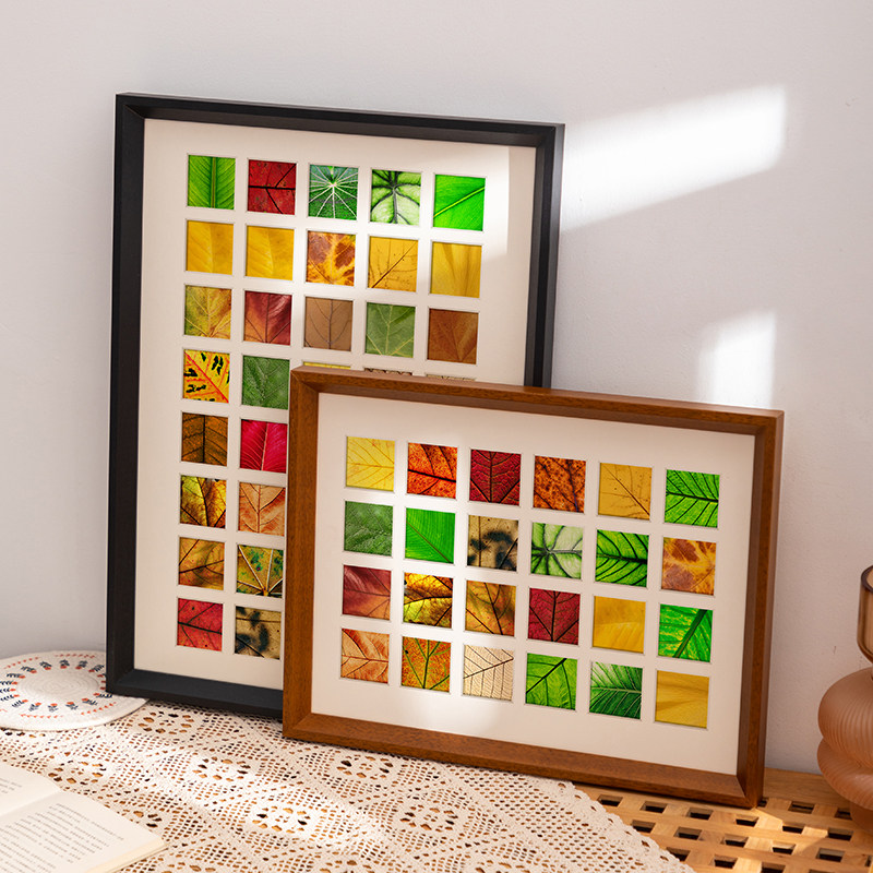 落叶相框diy手工48宫格收集框秋天树叶标本捡秋挂墙礼物摆台画框