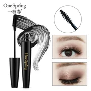 3 mảnh mascara mùa xuân không thấm nước dài cong không nhuộm màu dài mã hóa dài sợi dày đặc nữ - Kem Mascara / Revitalash