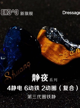 新旗舰静夜系列DSEX3^3第三代4静电6动铁2动圈三次方混合定制耳机