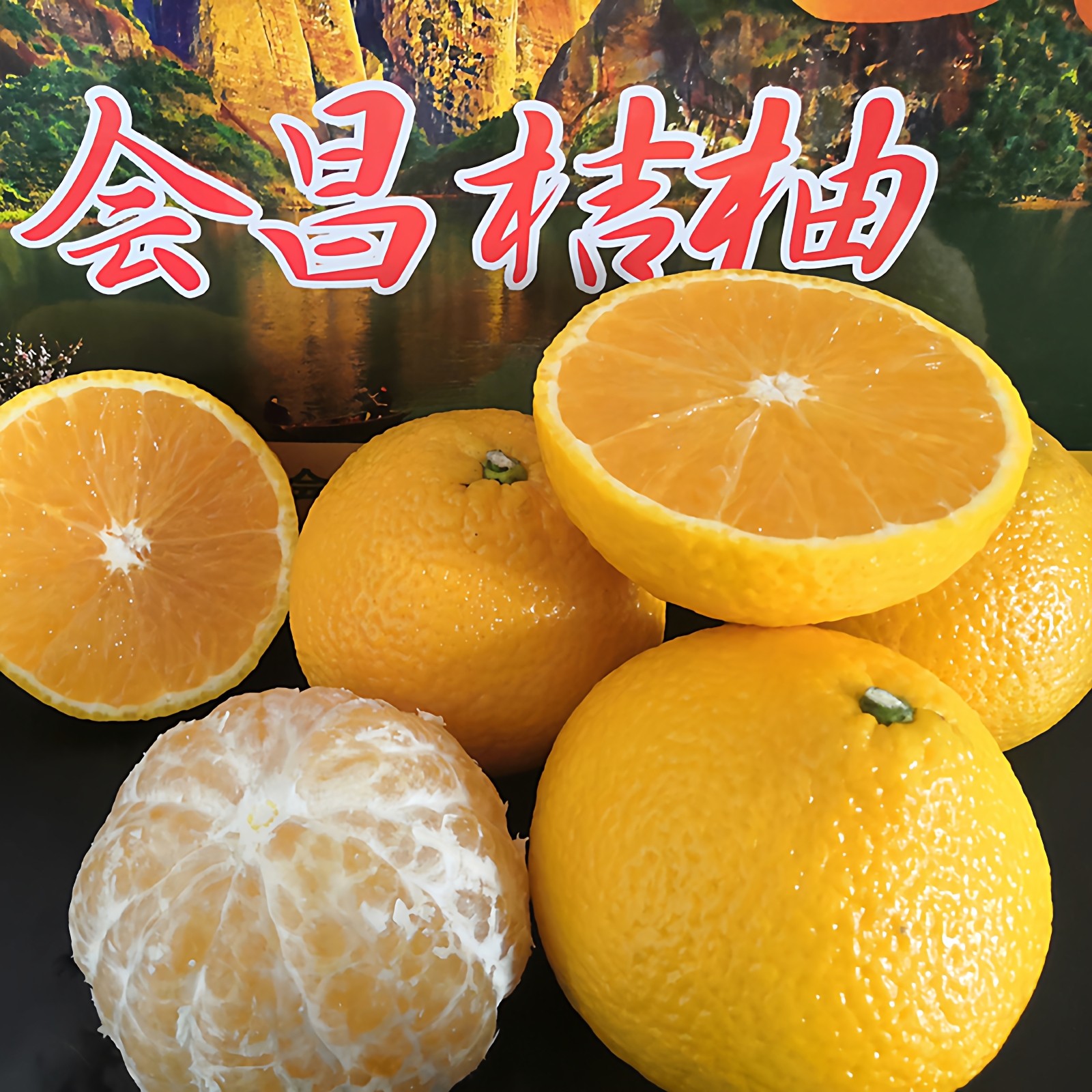 正宗江西会昌桔柚新鲜现摘当季水果赣南甜桔柚非庆元建阳橘柚20斤,水产肉类/新鲜蔬果/熟食,柚子,淘宝优惠券,粉丝福利购,淘宝优惠卷