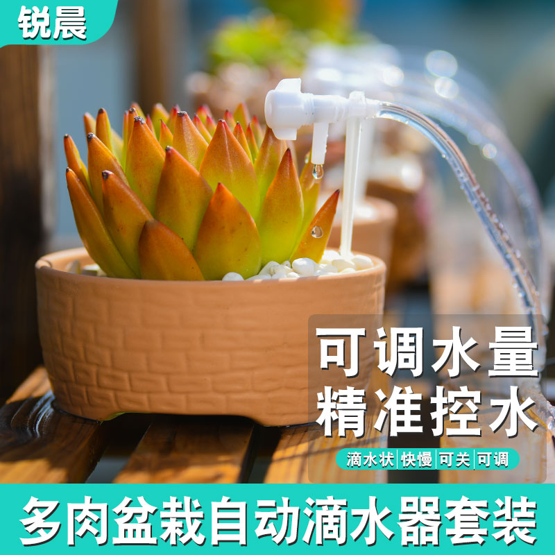 懒人浇花神器自动滴水出差家用