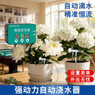 多时段懒人智能浇花滴灌神器植物盆栽家用定时虹吸灌溉洒水控制器
