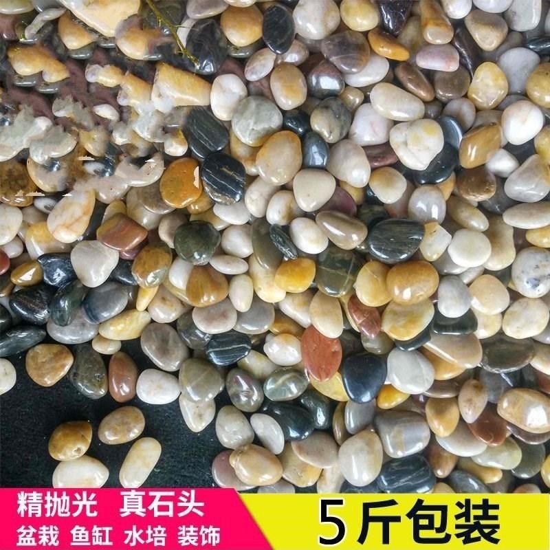 水族铺路地砖小样鱼缸乌龟缸鹅卵石 石头 庭院 花园 造景家用自然|msdalam kategori penghantaran bunga/bunga simulasi/tumbuhan berkebun, Gardening Supplies, Peralatan Perkebunan lain - dari Buy2taobao.com untuk memberikan perkhidmatan ejen Taobao profesional membeli