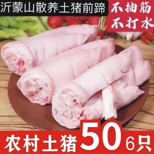 【国产】整只小猪蹄新鲜冷冻猪蹄猪脚猪手猪爪生猪手短猪脚小猪蹄