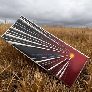 尾标PLAID3D高性能车标改装 YL首发版 金属车标 适用特斯拉Model3