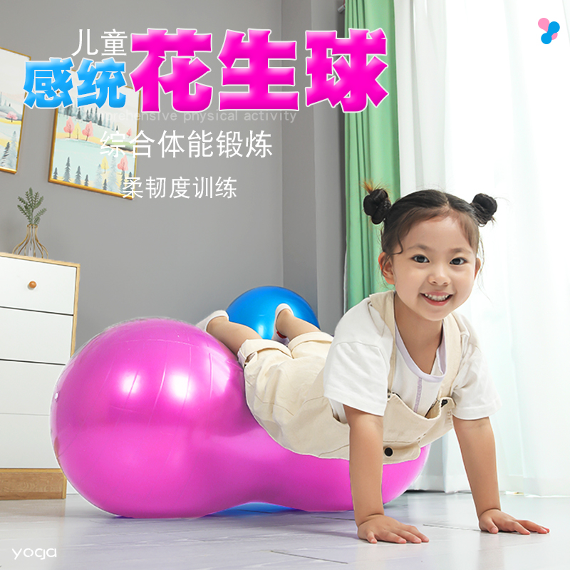 感统训练器材大龙球康复平衡球