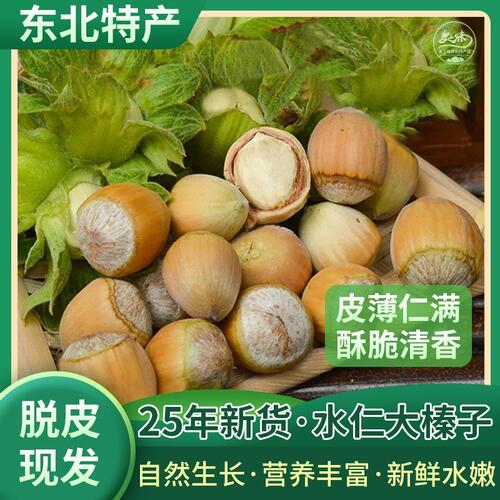 2026年新货新鲜绿皮东北大榛子水仁水瓤鲜绿青皮大榛子