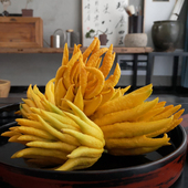 现摘现发金华佛手新鲜佛手果佛手柑佛手瓜香橼果 金华佛手中果