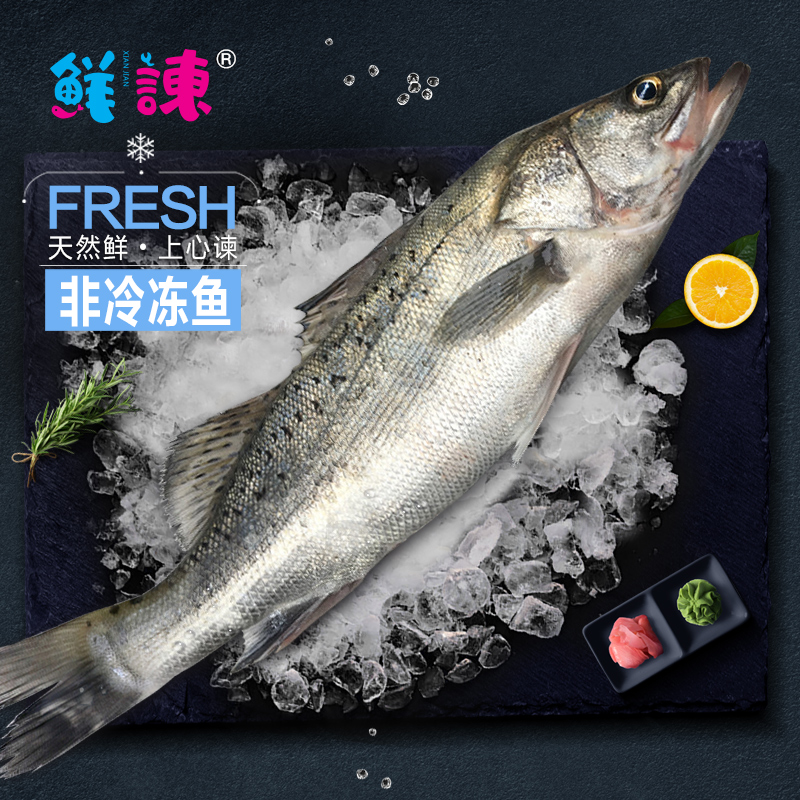 【鲜谏】东海2-62冰鲜海鲈鱼